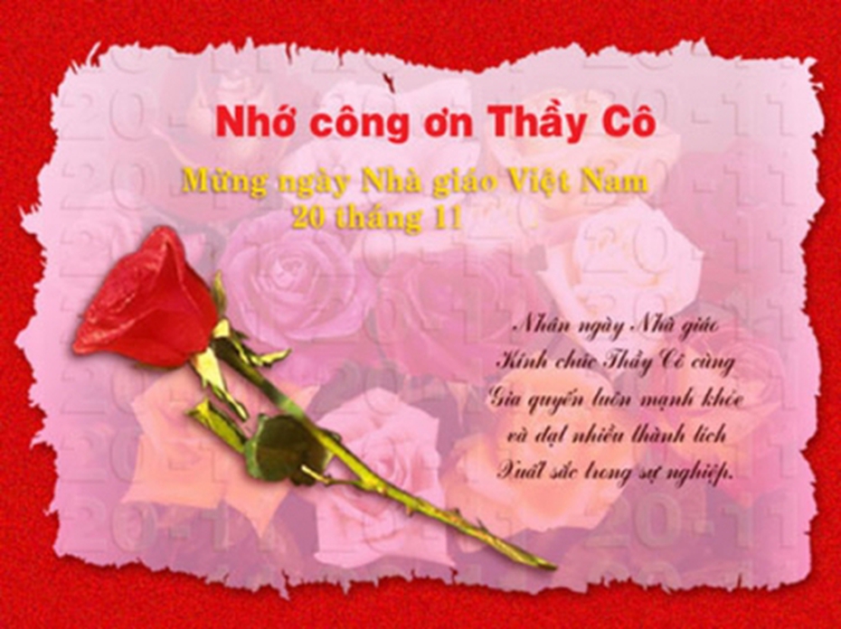 Tổng hợp những bài thơ hay về ngày 20/11 dành tặng thầy cô