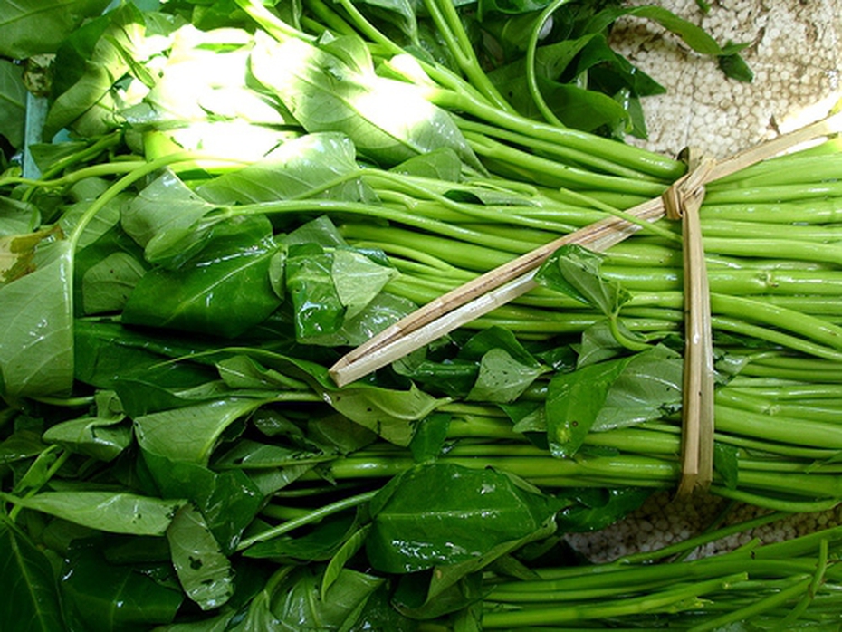 2 lạng thịt, 1 bó rau và bài học làm người từ cô giáo chủ nhiệm