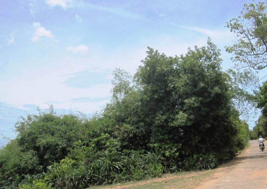 Bí ẩn chuyện QUẠ ĐEN chỉ chỗ xây Nghè Ná trong rừng cấm ở Quảng Bình