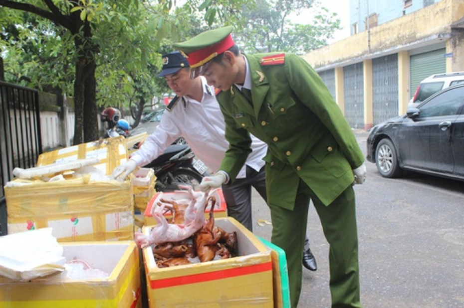 Quảng Bình: Tiếp tục phát hiện chim cút và thịt mèo bốc mùi hôi thối