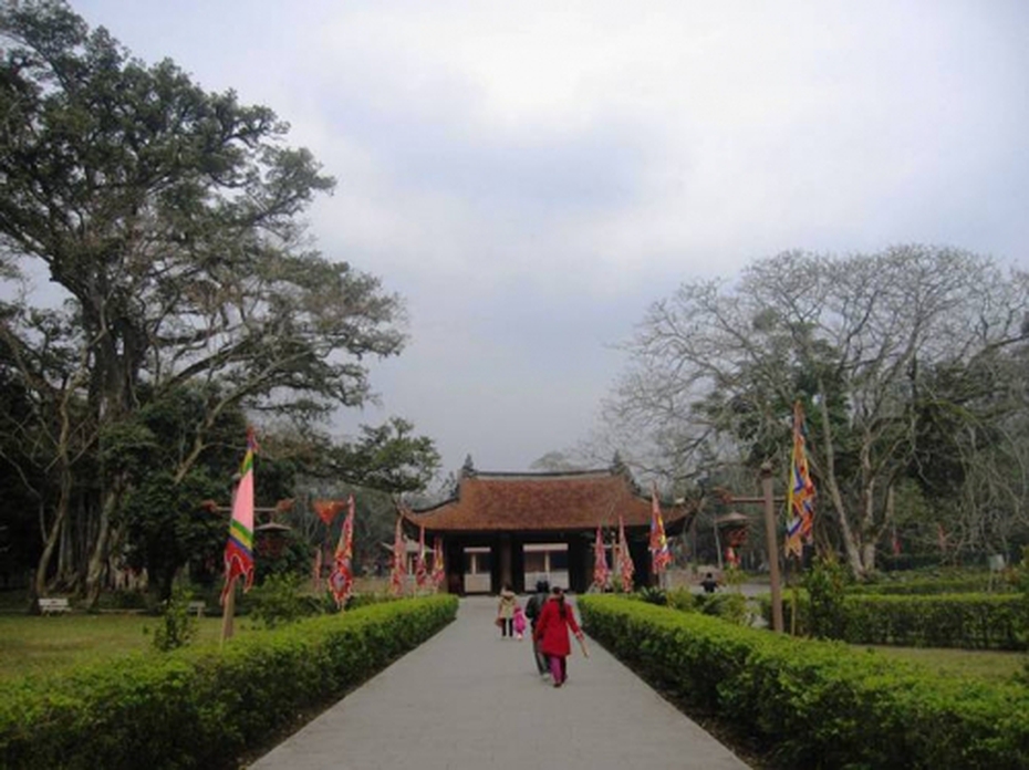 Những loại cây kỳ lạ tại Lam Kinh: Cây ổi biết 'cười' (1)