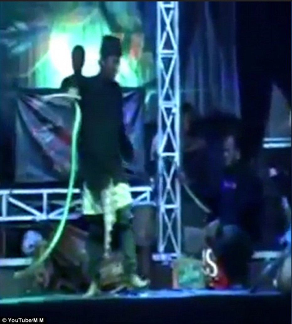 Mang rắn hổ mang lên sân khấu, nữ ca sĩ Indonesia bị cắn chết