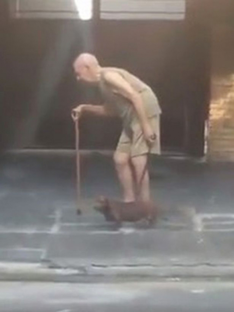 Tình cảm giữa chú chó và cụ ông khiến nhiều người ngưỡng mộ [VIDEO]
