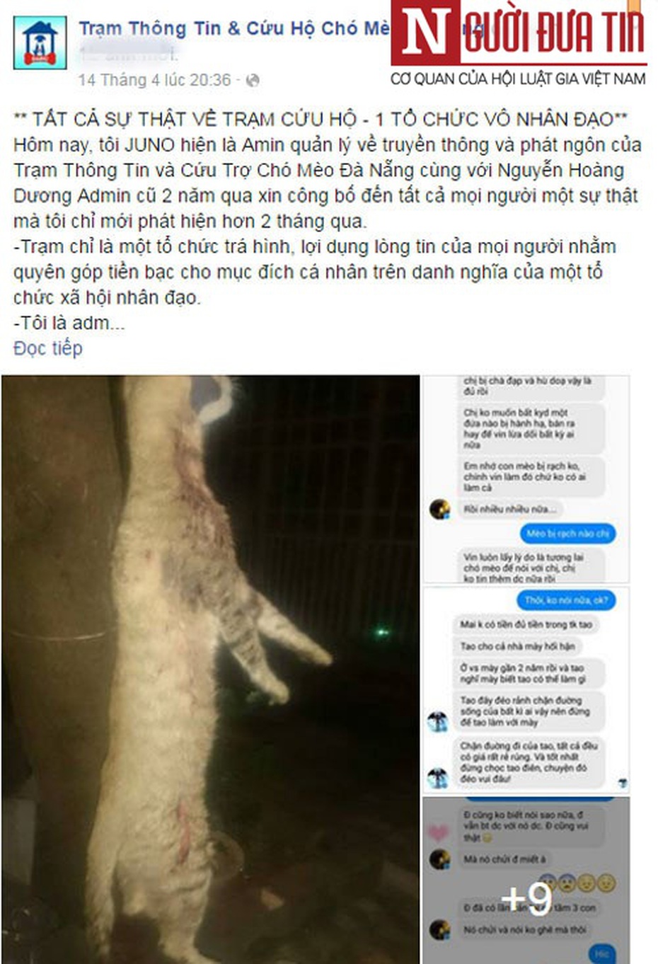 Lùm xùm ở trạm cứu hộ chó mèo Đà Nẵng: Đâu là sự thật?
