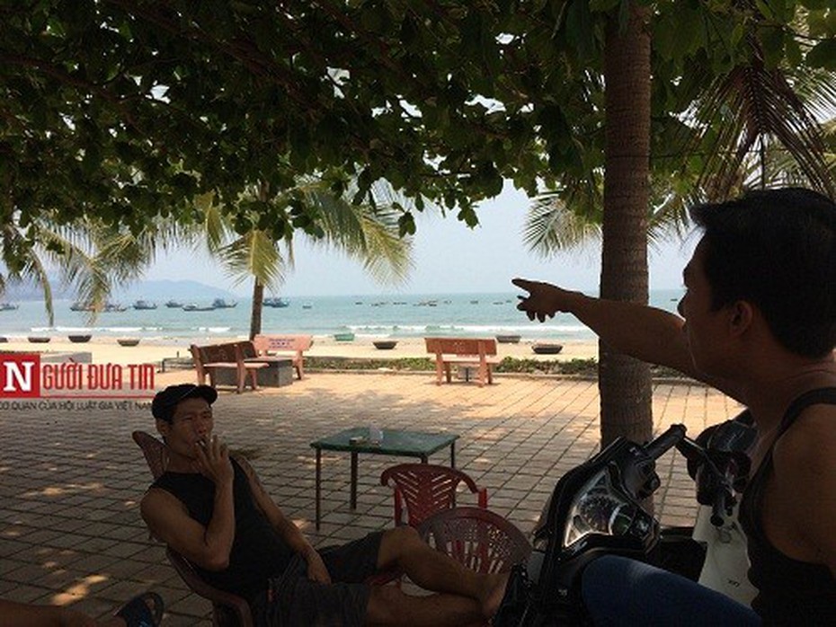Đà Nẵng phản hồi thông tin cá chết trôi vào bờ biển