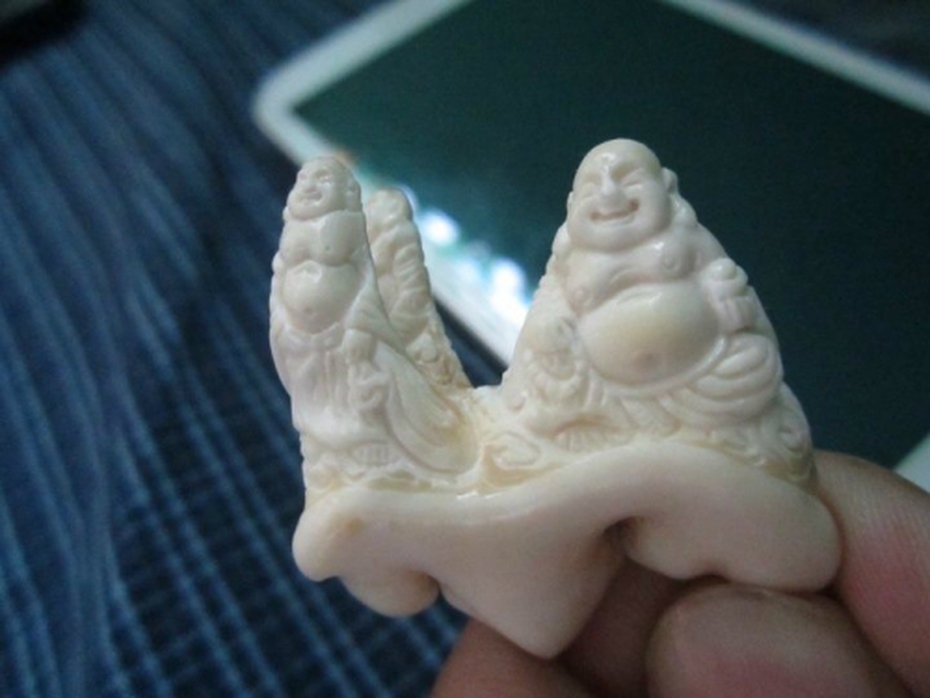 Săn 'thần dược' răng cọp: Coi chừng vung tiền mua... quả lừa