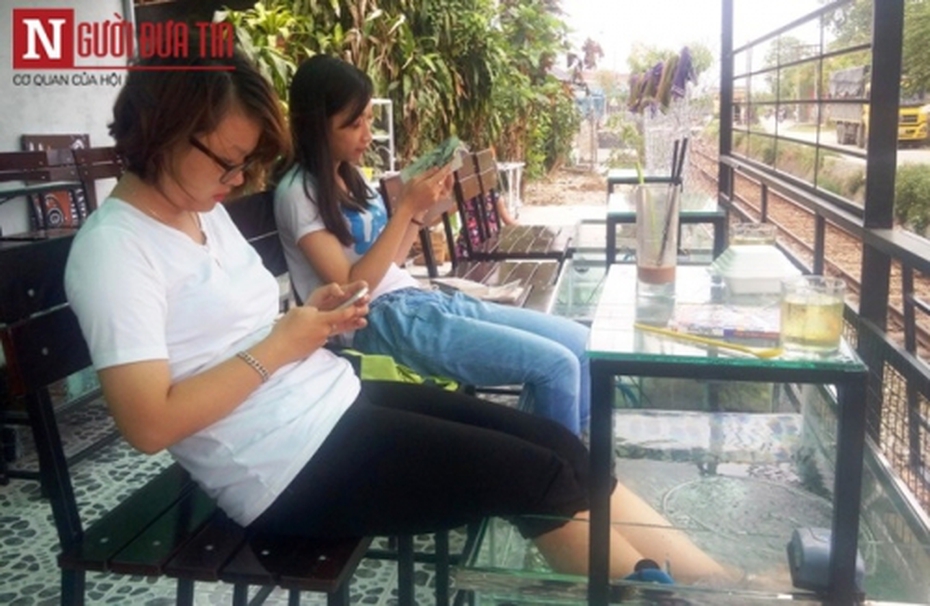 Cận cảnh những ‘nhân viên’ massage tí hon hút giới trẻ