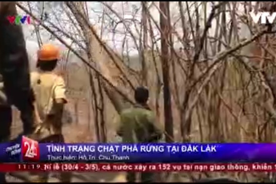 Dân mạng nói gì trước tin VTV 'bị tố' dàn dựng cảnh phá rừng làm PS?