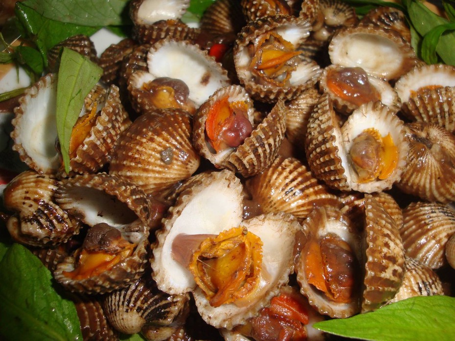 Mẹo hay lựa chọn và làm sạch ngao, sò, ốc cực đơn giản