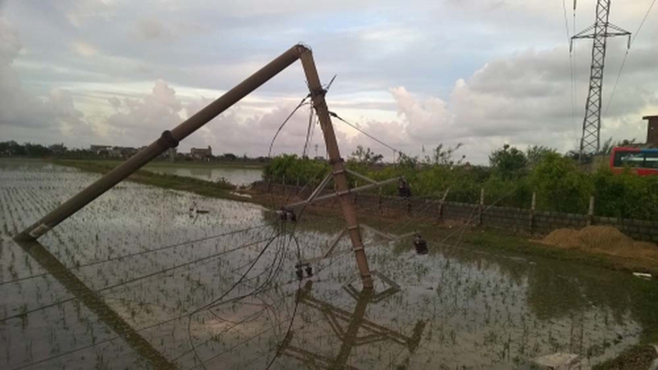 Hàng loạt cột điện đổ sau bão: Nên trồng cột điện bằng cao su