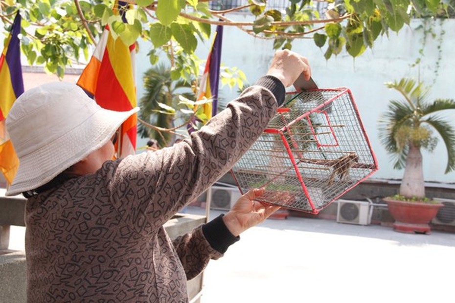 Văn khấn Rằm tháng 7, cúng chúng sinh, phóng sinh tại gia CHUẨN NHẤT