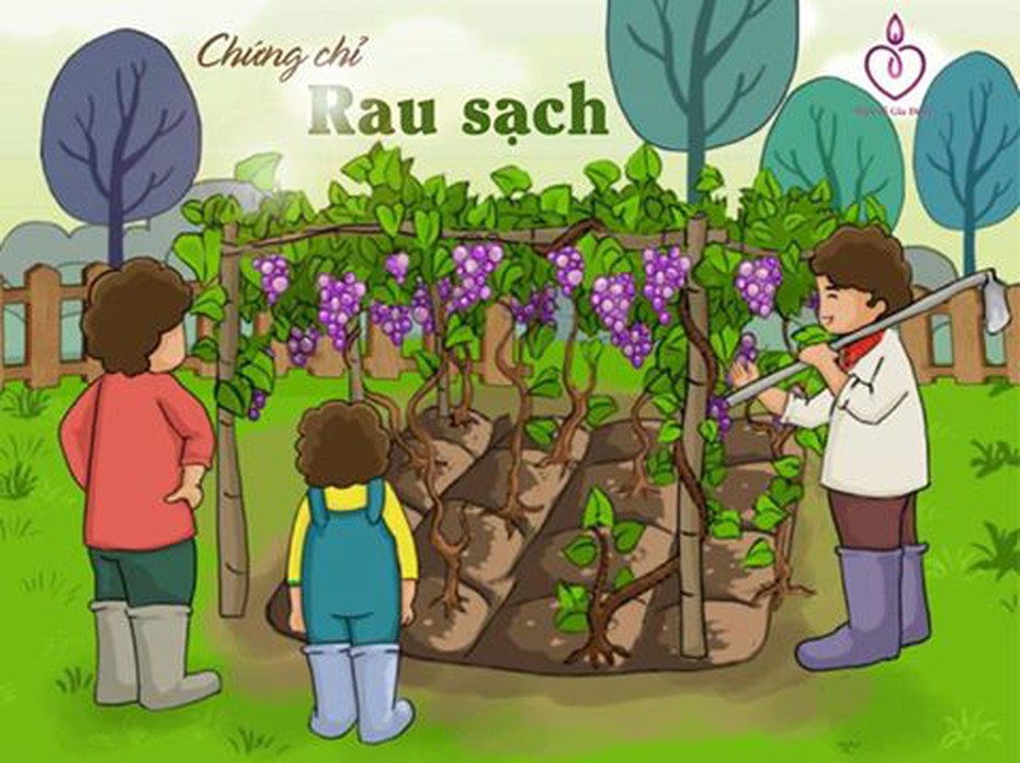 Bài dự thi: Chứng chỉ rau sạch