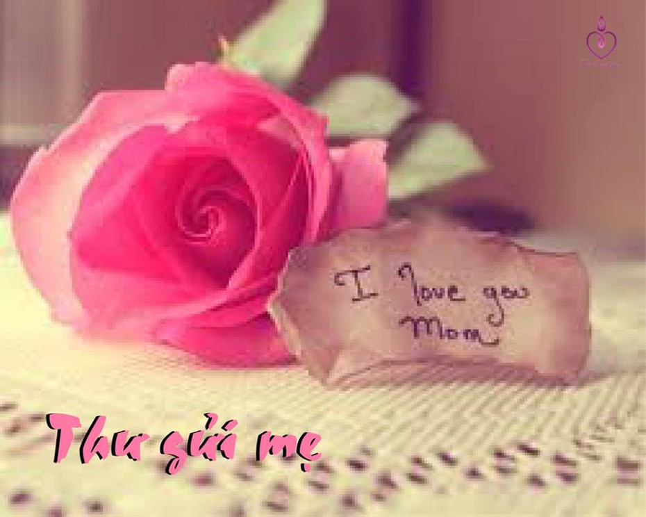 Bài dự thi: Thư gửi mẹ