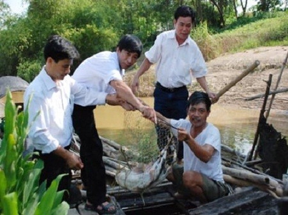 Ly kỳ chuyện “cụ” cá gần trăm tuổi ở Hà Giang