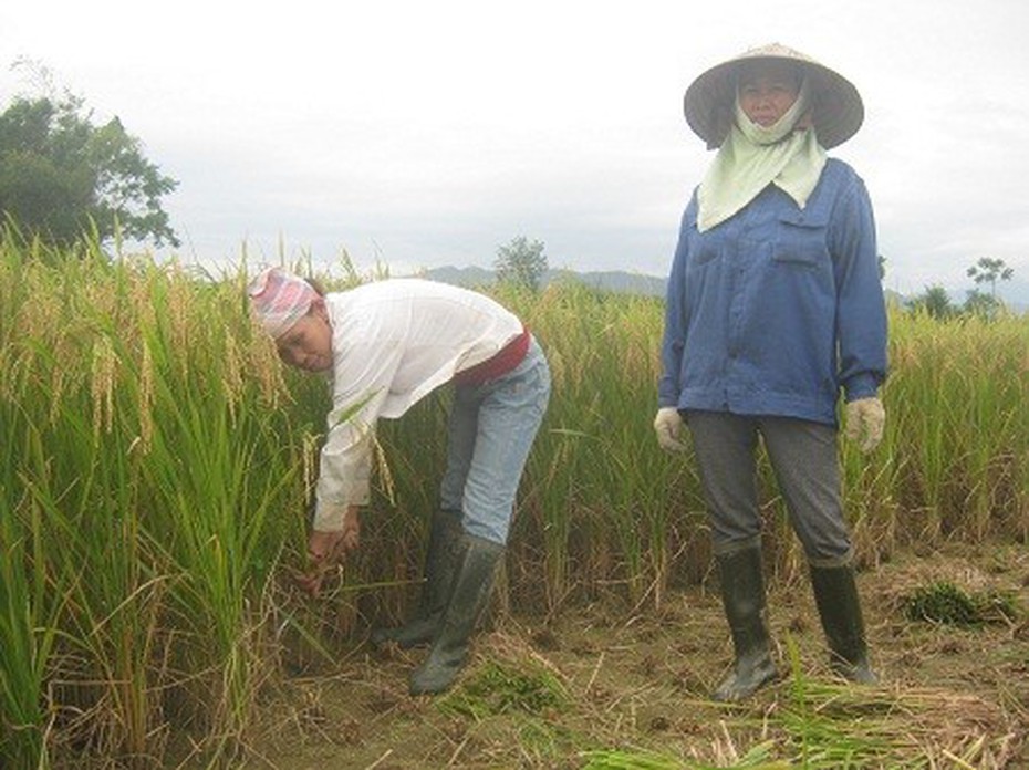 Những mảnh đời đơn thân dưới chân núi Đôi