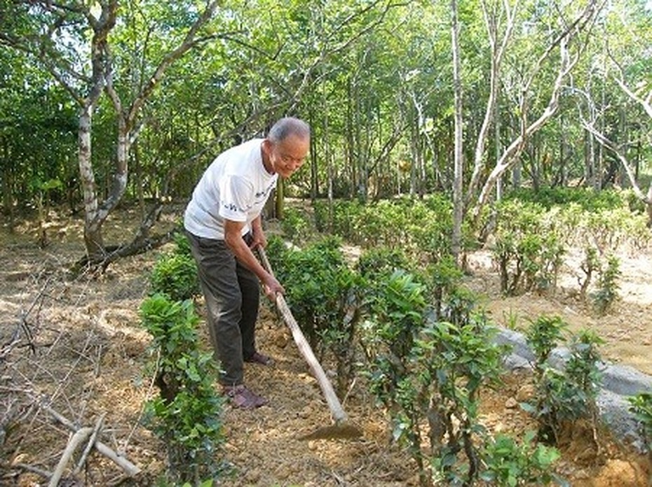 Chuyện tình cảm động của cụ ông 85 tuổi