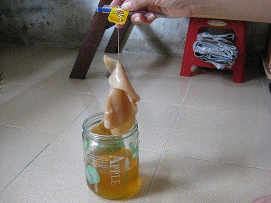 Hóa giải lời đồn nấm thủy sâm chữa bách bệnh