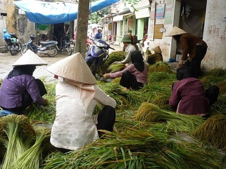 Tìm lại hương vị cốm Mễ Trì