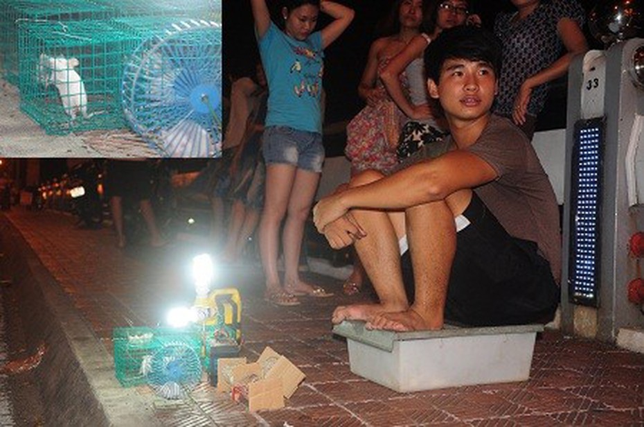 Giới trẻ Đà thành“đua” nuôi chuột cảnh