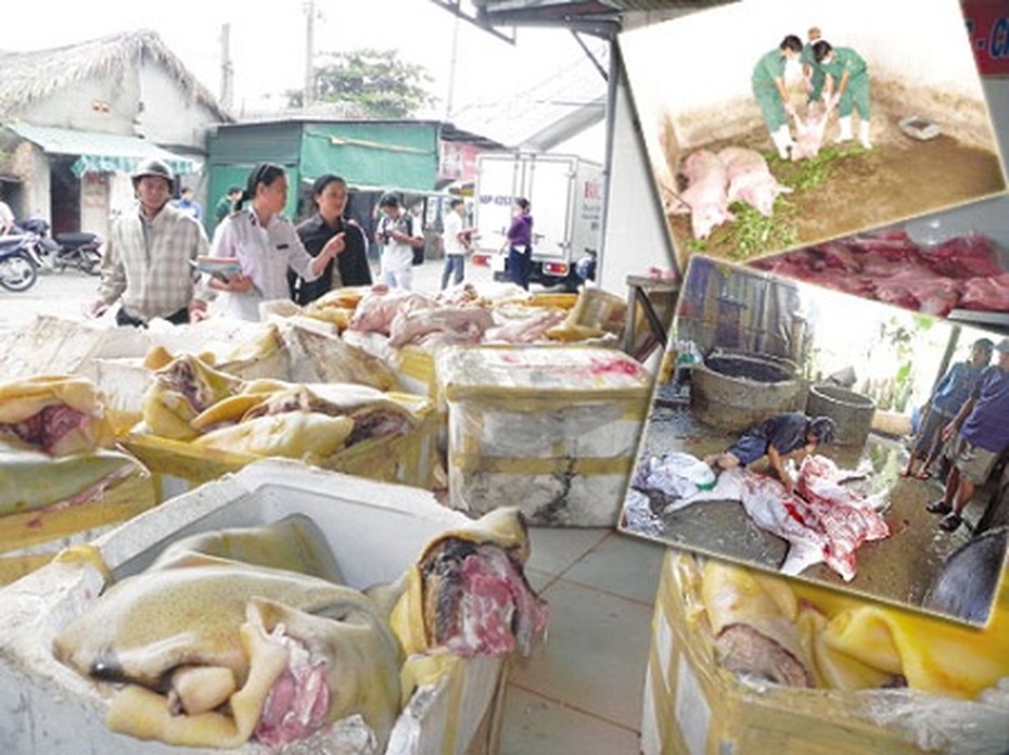 Đột nhập đại bản doanh "chế" lợn sề... thành lợn rừng