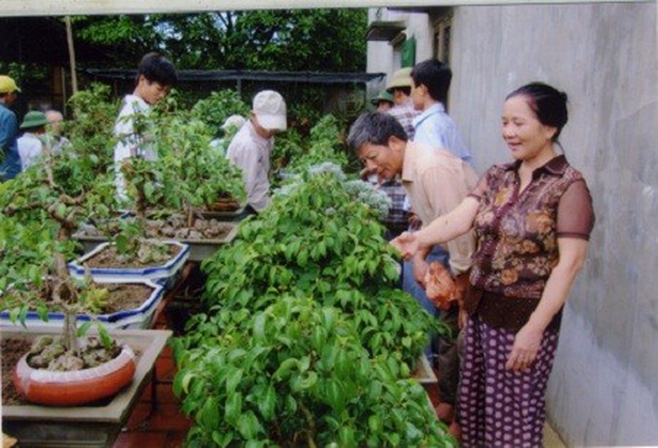 Học làm cây cảnh để thành tỷ phú