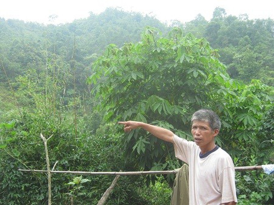 Sét đánh tang thương bản nghèo