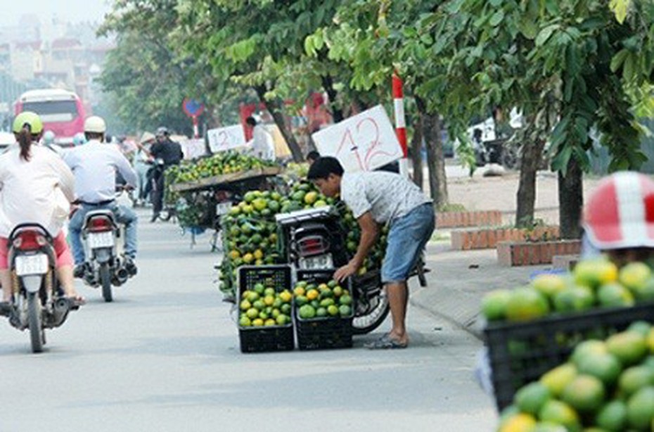 Việt Nam có nguy cơ trở thành "bãi thải" của thế giới