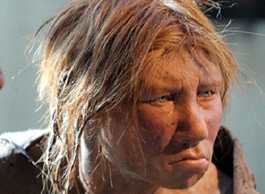 Vì sao người nguyên thủy Neanderthal biến mất?