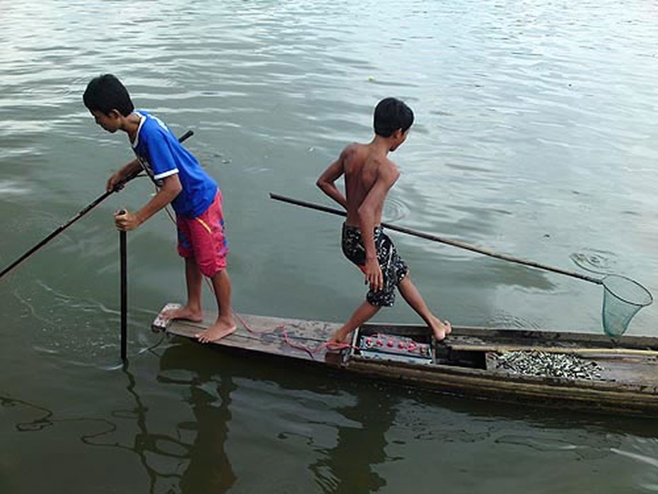 Nguồn thủy sinh trên sông Sài Gòn đang cạn kiệt