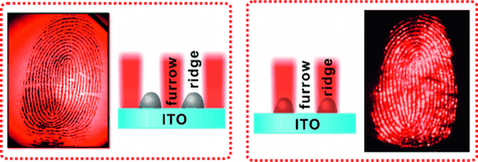 Công nghệ dấu vân tay phát sáng