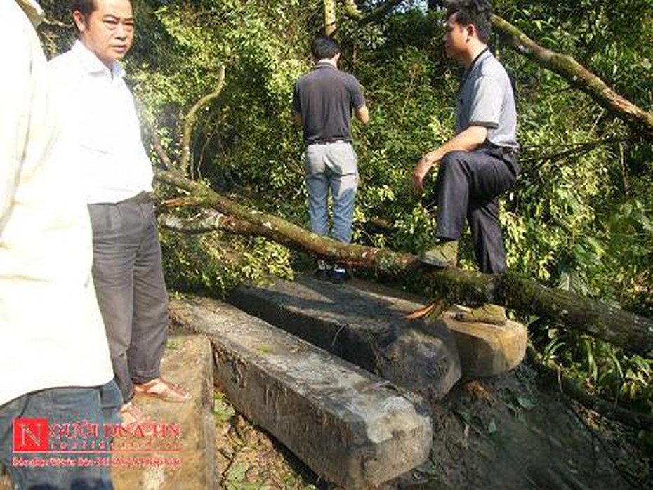 Bắt khẩn cấp 6 đối tượng vụ phá rừng lớn nhất Hà Tĩnh