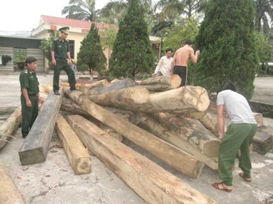 Hà Tĩnh: Bắt 4 vụ vận chuyển gỗ lậu trong đêm