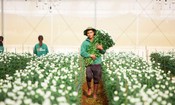 Nợ vay của PAN Farm phình to trong nửa đầu năm 2025