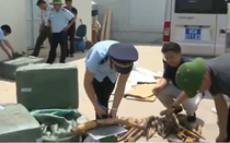Hải quan bắt giữ hơn 300 kg ngà voi từ nước ngoài về sân bay Nội Bài