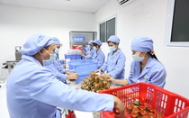 Vì sao phái nữ thích dùng mỹ phẩm thiên nhiên?