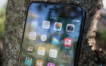 Apple chỉ trang bị màn hình OLED cho 1 model iPhone 8