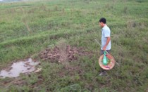 Sự thật tin đồn bắt cóc trẻ em lấy nội tạng, chôn xác ở cánh đồng?