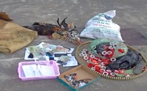 Triệt phá nhiều tụ điểm đá gà và ghi số đề mùa giáp Tết