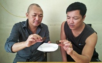 Phát hiện 2 vật lạ nghi ‘dương bảo’ tăng cường sinh lực đàn ông
