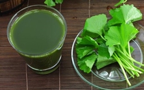 Một số mẹo, bài thuốc dân gian phòng chống say nắng mùa hè