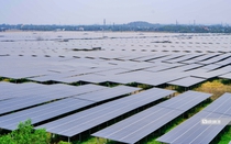 Cứ 1 triệu USD đầu tư vào năng lượng tái tạo giúp tăng thêm ít nhất 5 việc làm