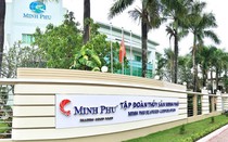 Kinh doanh thua lỗ, “vua tôm” Minh Phú vẫn chi hàng trăm tỷ đồng trả cổ tức