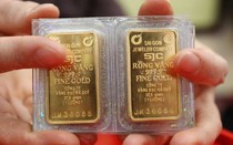 Giá vàng 29/11: Vàng trong nước tăng nhẹ