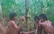 Lần đầu ghi được hình về cộng đồng bản địa bí ẩn trong rừng Amazon
