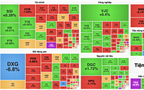 VN-Index suýt mất mốc 1.260 điểm