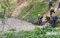 Đà Nẵng: Truy tìm nguyên nhân khiến 10 tấn cá chết sau mưa