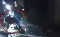 Clip: Bị dân làng truy đuổi, sư tử tấn công cậu bé 9 tuổi