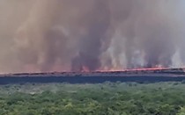 Cháy rừng dữ dội tại Uruguay sau cơn bão