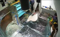 Khoảnh khắc kinh hoàng bể cá khổng lồ trong nhà hàng bất ngờ vỡ vụn
