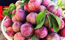 Quả mận: Có thể ổn định đường huyết tự nhiên mà ít người biết